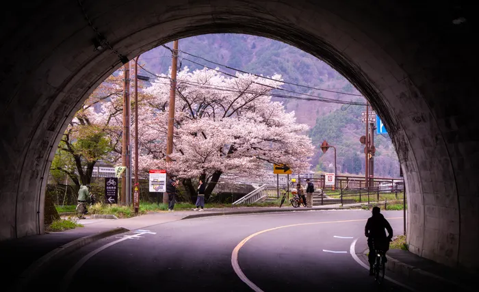 Photograph from japan