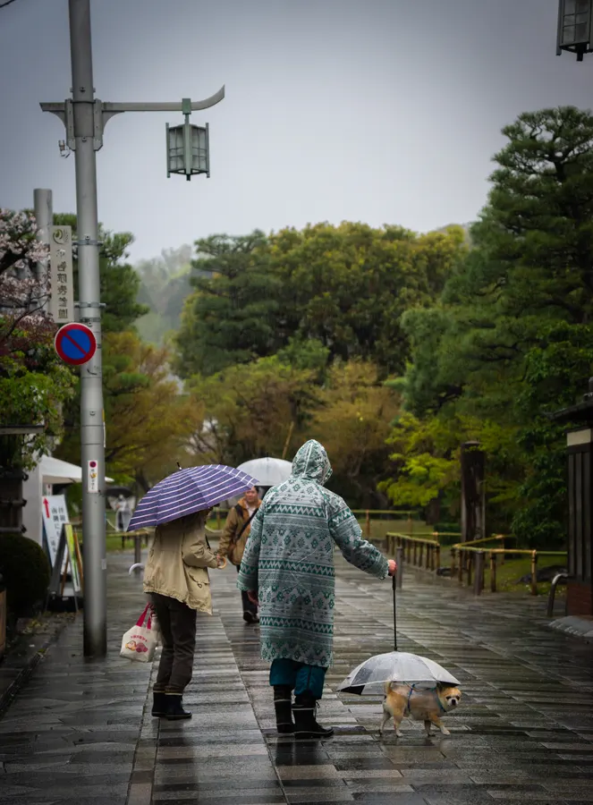 Photograph from japan