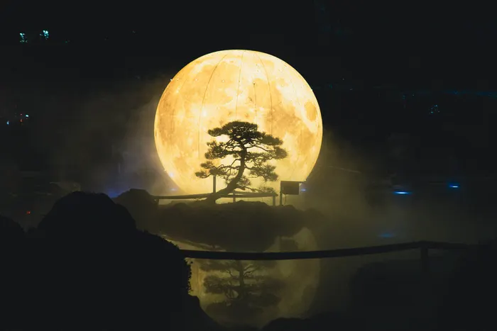 Photograph from japan