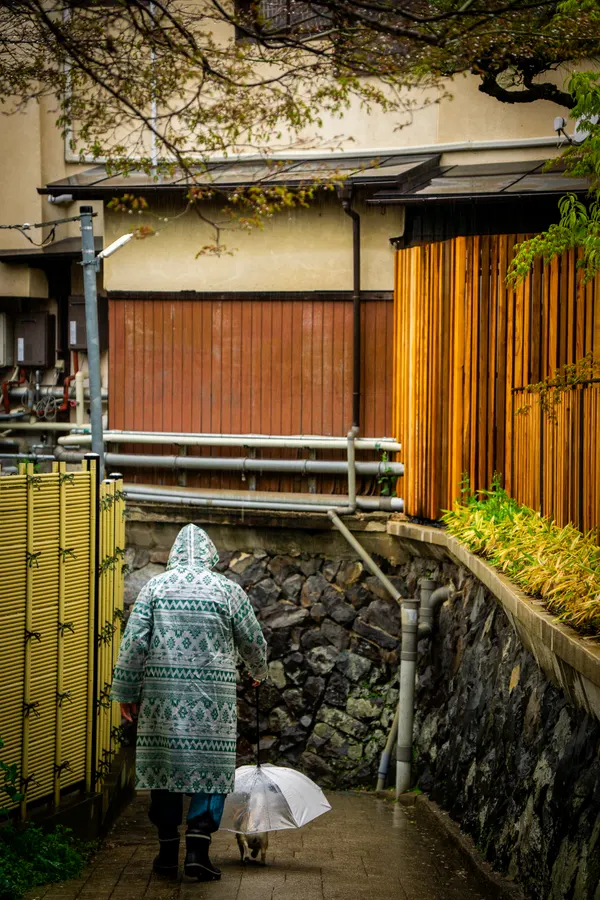 Photograph from japan