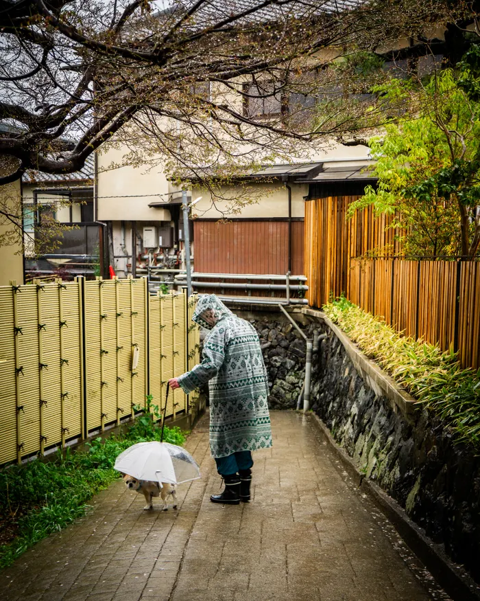 Photograph from japan